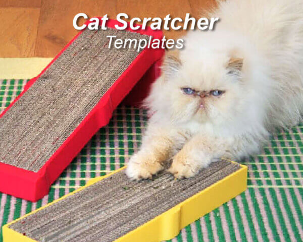 Scratch Box - Large