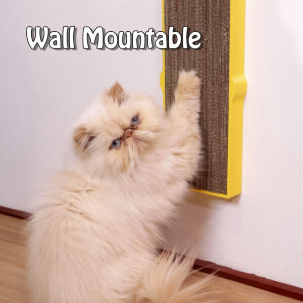 Scratch Box - Wall Mounted